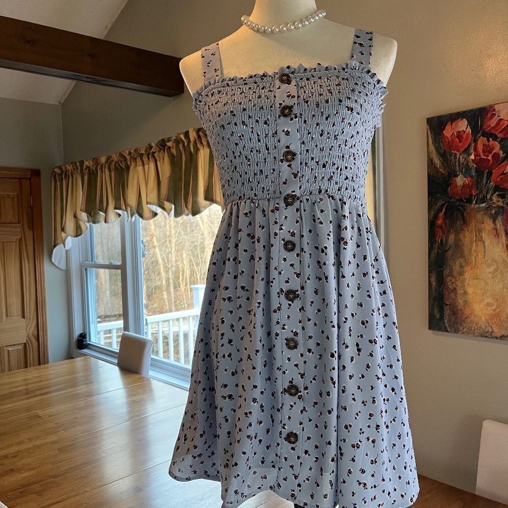 Sienna Sky Blue Floral Cottage Core Print Sun Dress